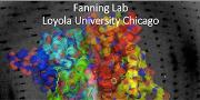 Fanning lab video screenshot.