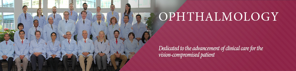 Dedicated to the advancement of clinical care for the vision-compromised patient