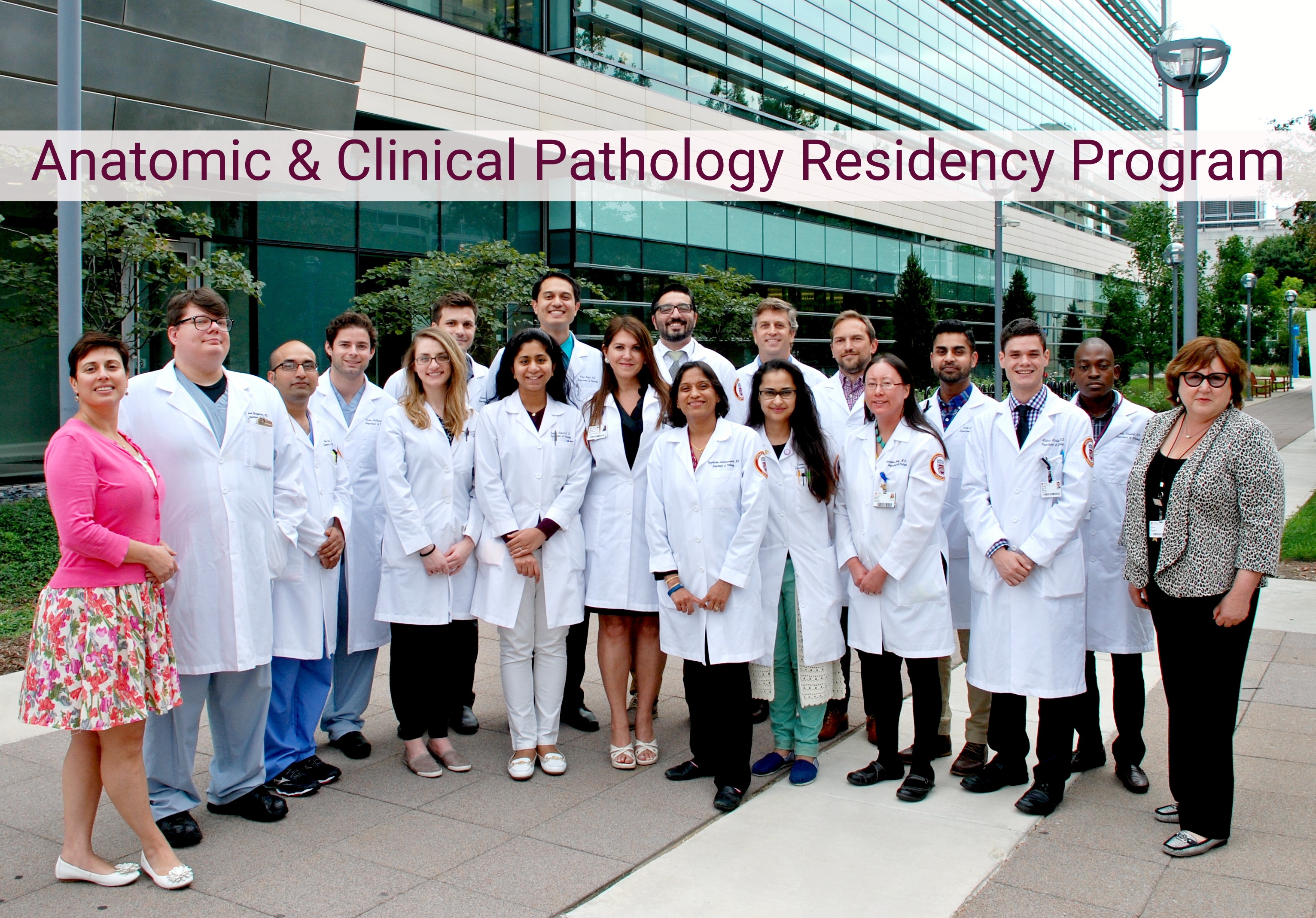 college of american pathologists chicago